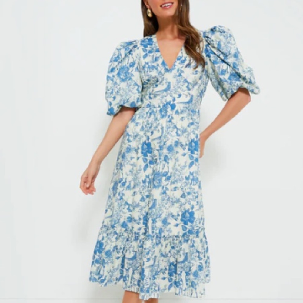 NWT Hyacinth House Blue Woodland Floral Lindley Dress